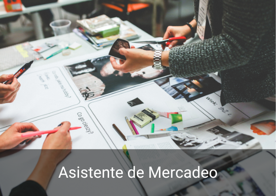 Asistente en Mercadeo Asistente en Mercadeo