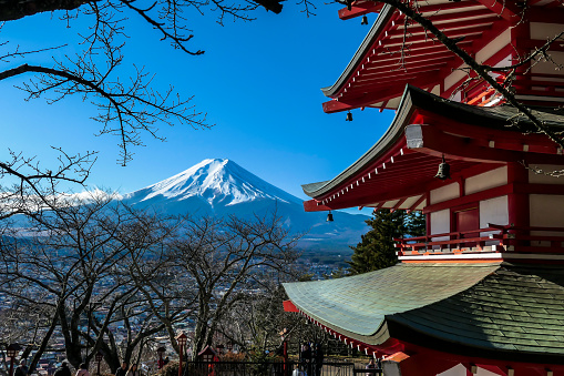 Japonés Básico Japonés Básico